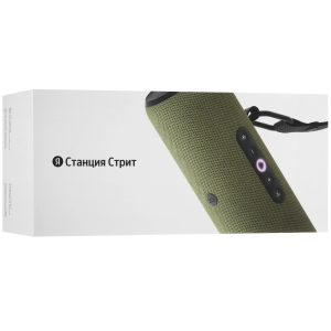 Купить Яндекс Станция Стрит зелёный YNDX-00030GRN-07.png